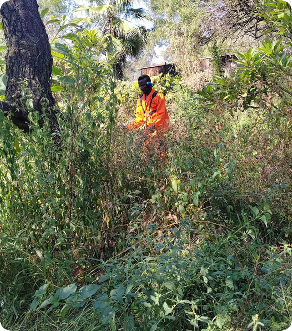 site-clearance-aicalandscaping-home