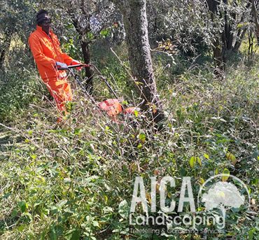 site-clearance-aicalandscaping-gallery-1