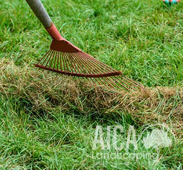 site-clearance-aicalandscaping-gallery-2