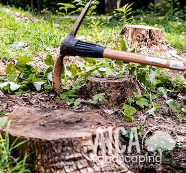 stump-grinding-aicalandscaping-gallery-2