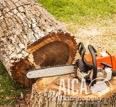 stump-grinding-aicalandscaping-gallery-4