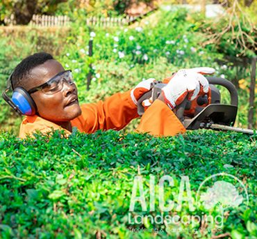 tree-prunning-aicalandscaping-gallery-1